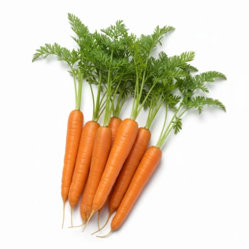 Carote/جزر